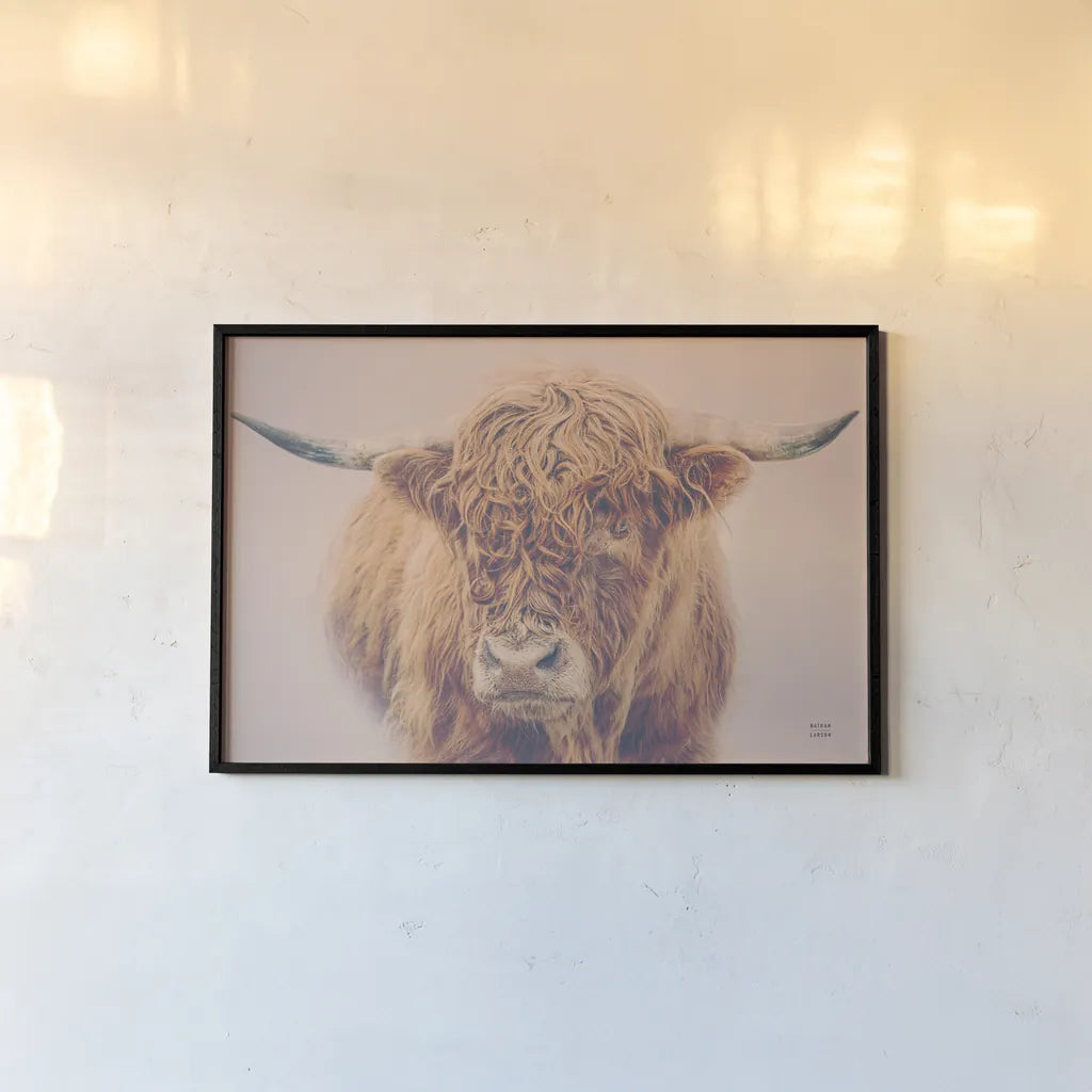 Highland in the Winter Fog by Nathan Larson. shown as a paper print in a black flame. Available as a archival giclee rolled canvas, fine art paper, or poster print. SKU 77565i.