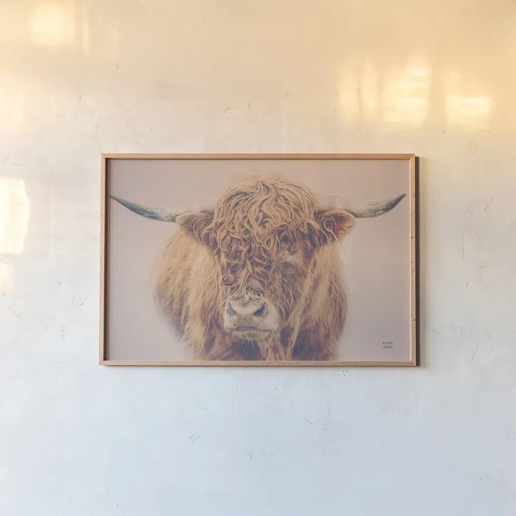 Highland in the Winter Fog by Nathan Larson. shown as a paper print in a natural frame. Available as a archival giclee rolled canvas, fine art paper, or poster print. SKU 77565i.