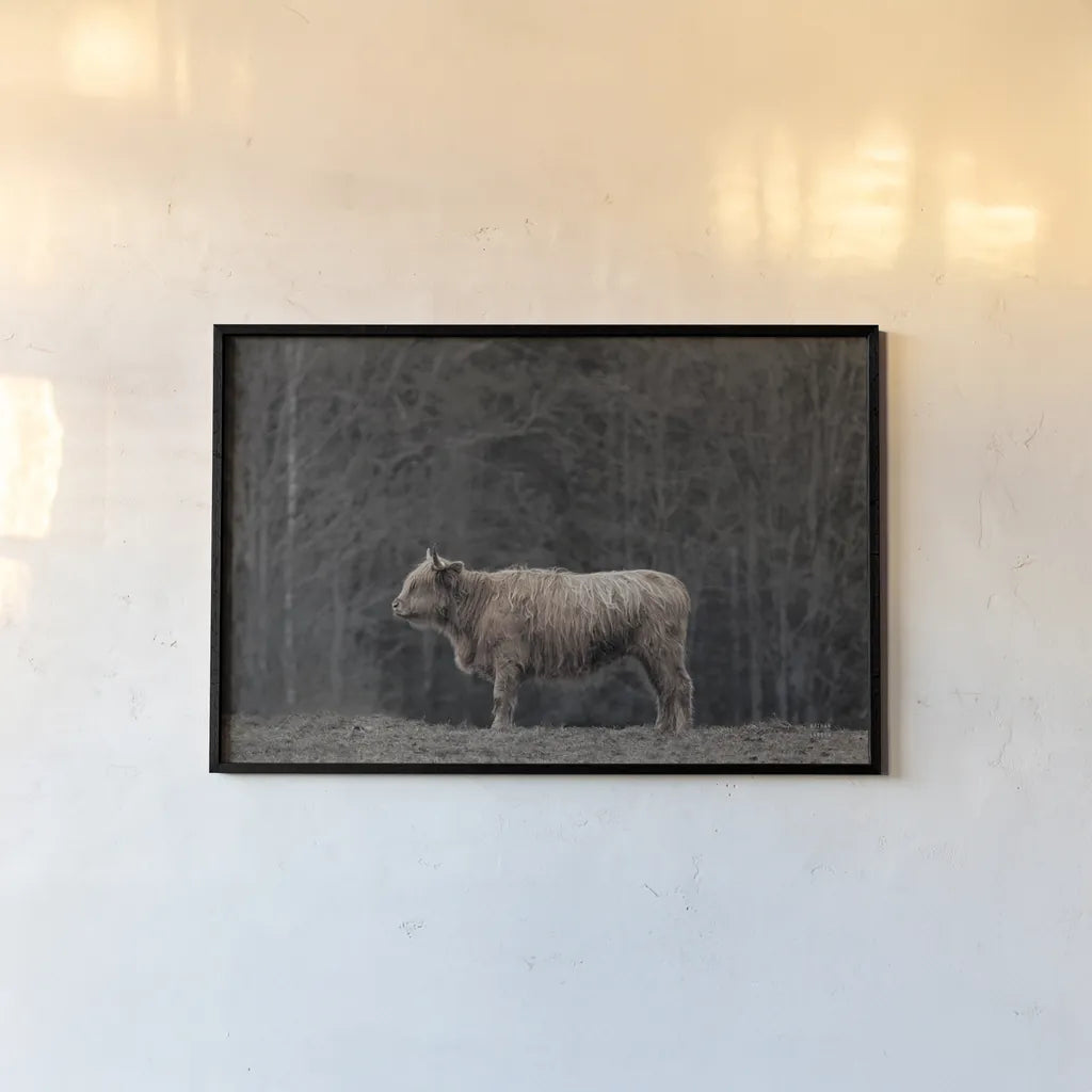 Hill Top Highland by Nathan Larson. shown as a paper print in a black flame. Available as a archival giclee rolled canvas, fine art paper, or poster print. SKU 89478i.