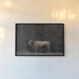 Hill Top Highland by Nathan Larson. shown as a paper print in a black flame. Available as a archival giclee rolled canvas, fine art paper, or poster print. SKU 89478i.