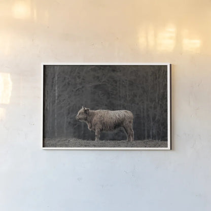 Hill Top Highland by Nathan Larson. shown as a paper print in a white frame. Available as a archival giclee rolled canvas, fine art paper, or poster print. SKU 89478i.