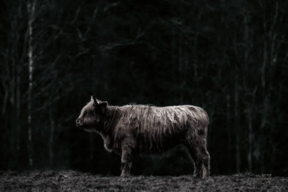 Hill Top Highland BW by Nathan Larson. SKU 89479i. Archival Giclee Fine art print for wall decor.