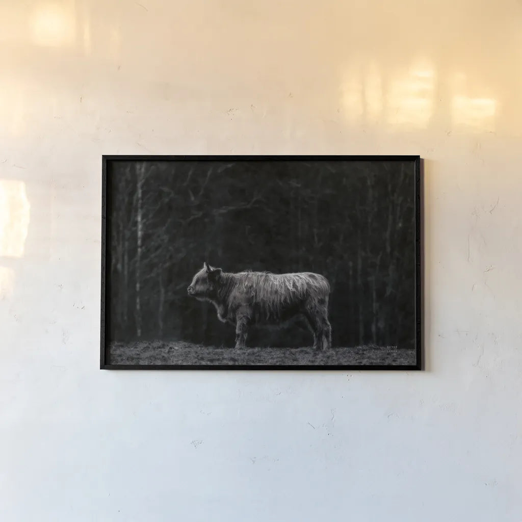 Hill Top Highland BW by Nathan Larson. shown as a paper print in a black flame. Available as a archival giclee rolled canvas, fine art paper, or poster print. SKU 89479i.