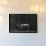 Hill Top Highland BW by Nathan Larson. shown as a paper print in a black flame. Available as a archival giclee rolled canvas, fine art paper, or poster print. SKU 89479i.