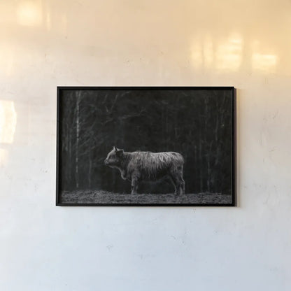Hill Top Highland BW by Nathan Larson. shown as a paper print in a black flame. Available as a archival giclee rolled canvas, fine art paper, or poster print. SKU 89479i.