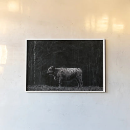 Hill Top Highland BW by Nathan Larson. shown as a paper print in a white frame. Available as a archival giclee rolled canvas, fine art paper, or poster print. SKU 89479i.