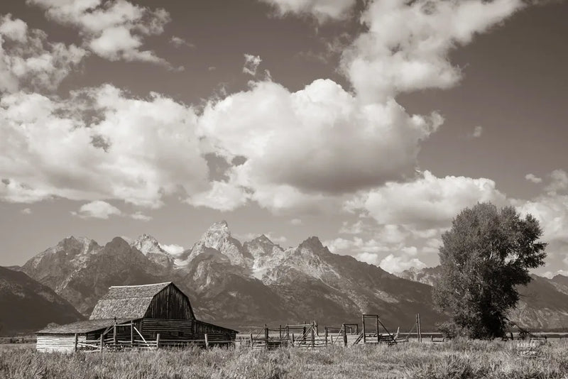 Historic Row by Nathan Larson. SKU 87944i. Archival Giclee Fine art print for wall decor.