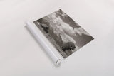Historic Row by Nathan Larson. shown as a rolled paper print. Available as archival giclee rolled canvas, fine art paper, or poster print. SKU 87944i.