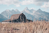 Historic Row III by Nathan Larson. SKU 89456i. Archival Giclee Fine art print for wall decor.
