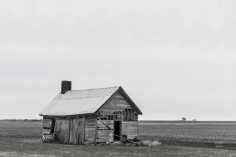 Holding On BW by Nathan Larson. SKU 98155i. Archival Giclee Fine art print for wall decor.