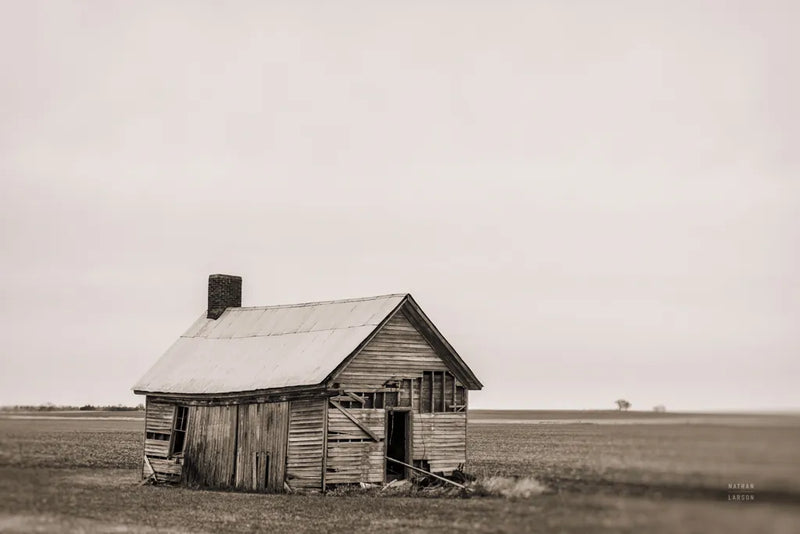 Holding On Sepia by Nathan Larson. SKU 98154i. Archival Giclee Fine art print for wall decor.