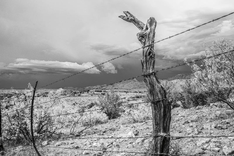 Holding Up BW by Nathan Larson