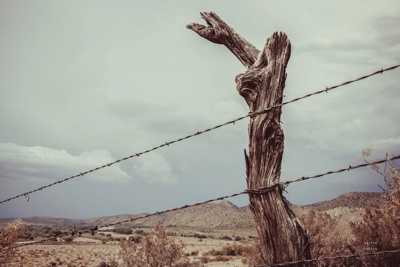 Holding Up Close by Nathan Larson