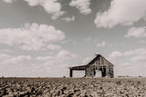 Holding on for Summer by Nathan Larson. SKU 98339i. Archival Giclee Fine art print for wall decor.