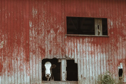 Hole in the Wall by Nathan Larson. SKU 89480i. Archival Giclee Fine art print for wall decor.