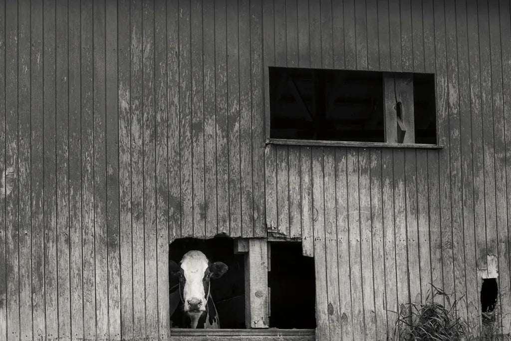 Hole in the Wall II by Nathan Larson. SKU 89481i. Archival Giclee Fine art print for wall decor.