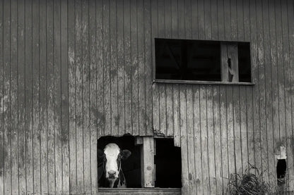 Hole in the Wall II by Nathan Larson. SKU 89481i. Archival Giclee Fine art print for wall decor.