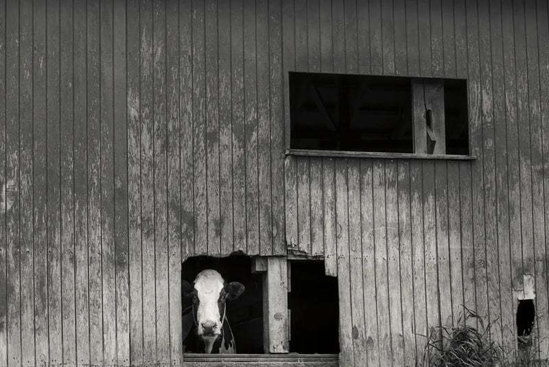 Hole in the Wall II by Nathan Larson. SKU 89481i. Archival Giclee Fine art print for wall decor.