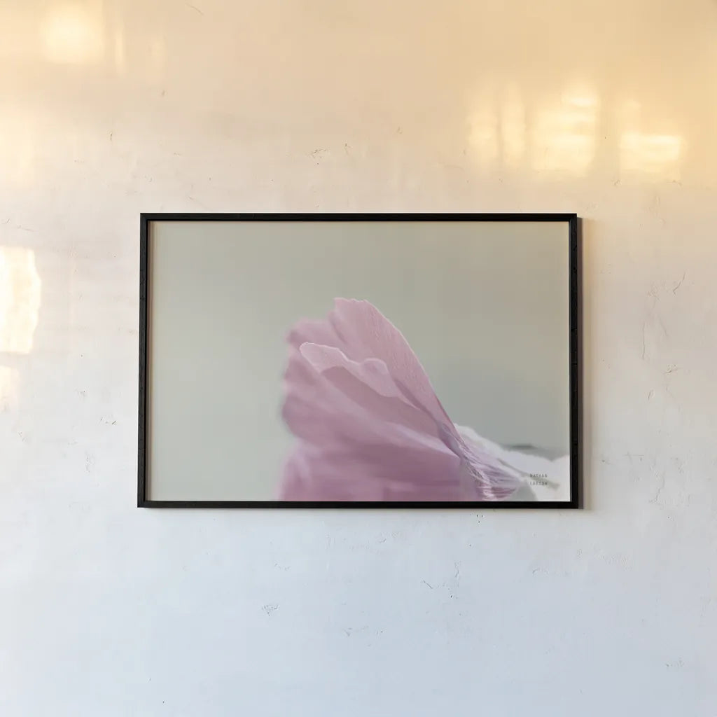 Hollyhock Edge by Nathan Larson. shown as a paper print in a black flame. Available as a archival giclee rolled canvas, fine art paper, or poster print. SKU 81198i.