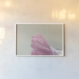 Hollyhock Edge by Nathan Larson. shown as a paper print in a white frame. Available as a archival giclee rolled canvas, fine art paper, or poster print. SKU 81198i.