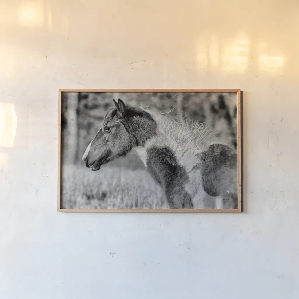 Horse Profile BW by Nathan Larson. shown as a paper print in a natural frame. Available as a archival giclee rolled canvas, fine art paper, or poster print. SKU 89463i.