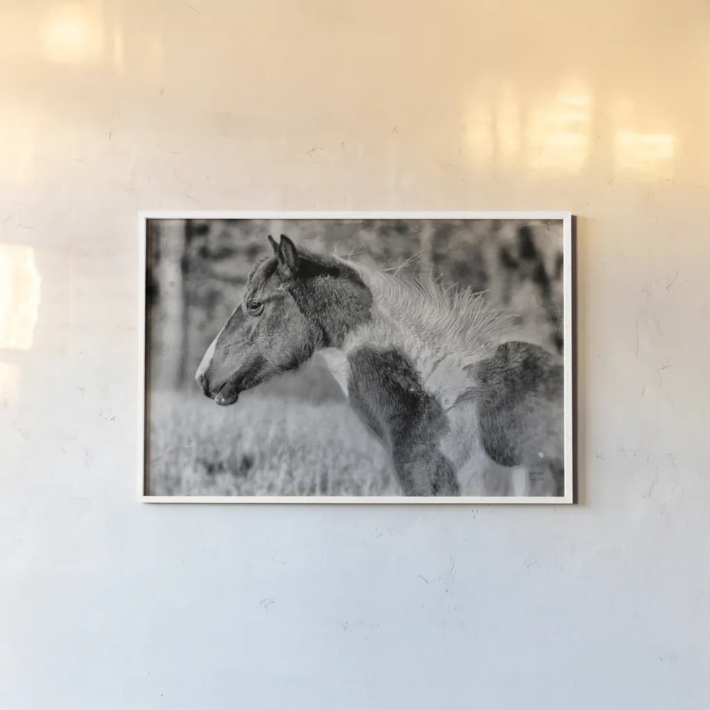 Horse Profile BW by Nathan Larson. shown as a paper print in a white frame. Available as a archival giclee rolled canvas, fine art paper, or poster print. SKU 89463i.