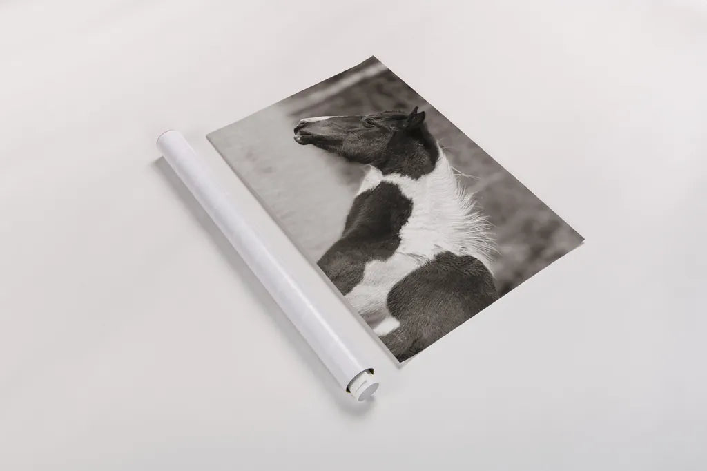 Horse Profile Sepia by Nathan Larson. shown as a rolled paper print. Available as archival giclee rolled canvas, fine art paper, or poster print. SKU 89462i.