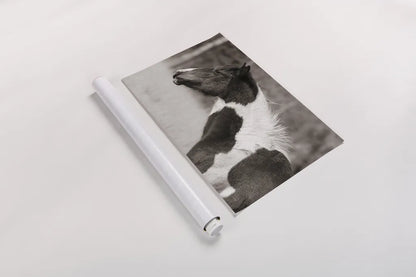 Horse Profile Sepia by Nathan Larson. shown as a rolled paper print. Available as archival giclee rolled canvas, fine art paper, or poster print. SKU 89462i.