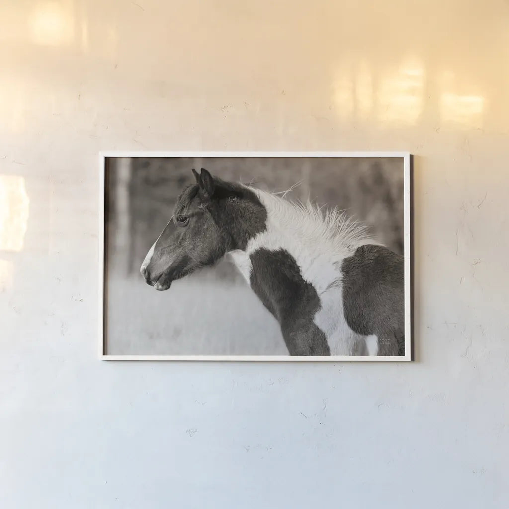 Horse Profile Sepia by Nathan Larson. shown as a paper print in a white frame. Available as a archival giclee rolled canvas, fine art paper, or poster print. SKU 89462i.