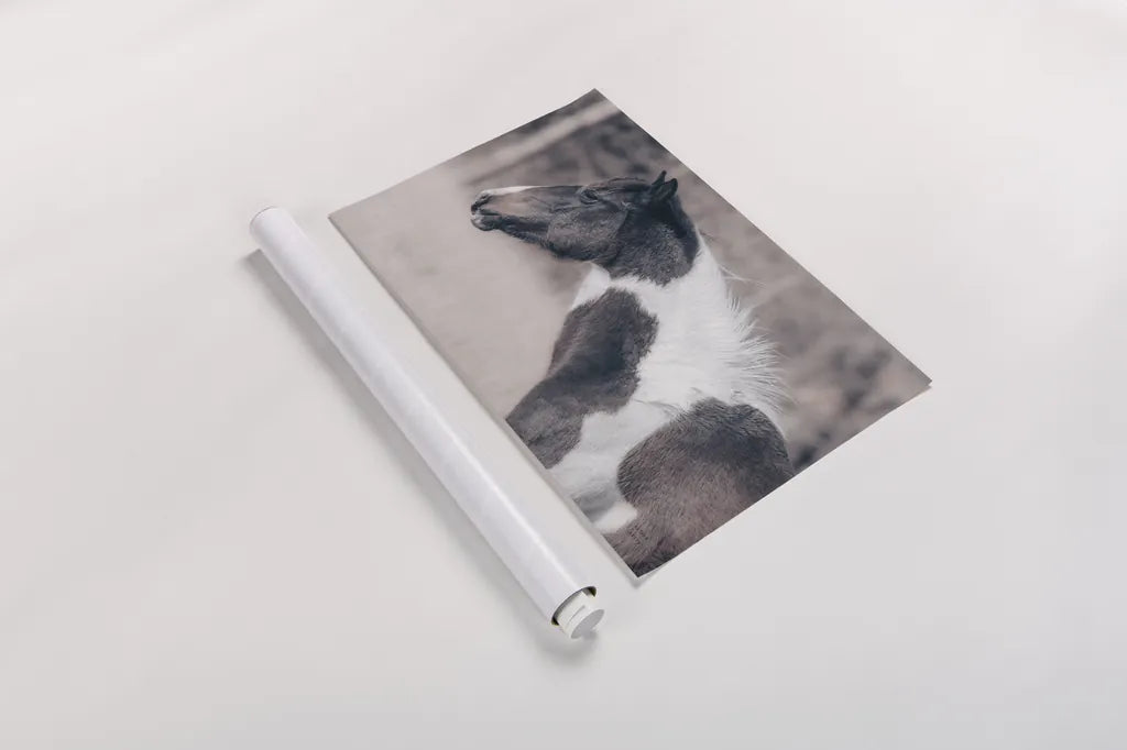 Horse Profile Tones by Nathan Larson. shown as a rolled paper print. Available as archival giclee rolled canvas, fine art paper, or poster print. SKU 89461i.