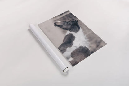 Horse Profile Tones by Nathan Larson. shown as a rolled paper print. Available as archival giclee rolled canvas, fine art paper, or poster print. SKU 89461i.