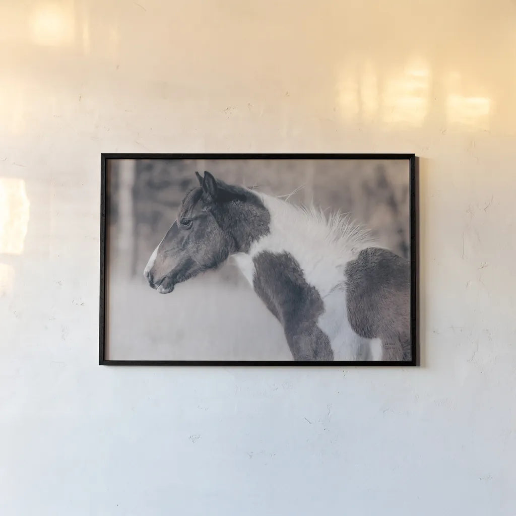 Horse Profile Tones by Nathan Larson. shown as a paper print in a black flame. Available as a archival giclee rolled canvas, fine art paper, or poster print. SKU 89461i.