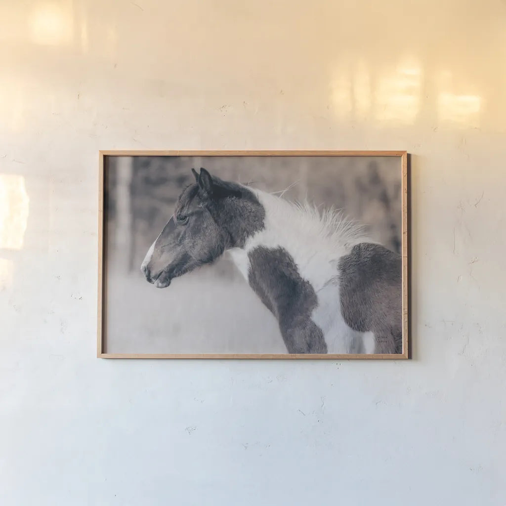 Horse Profile Tones by Nathan Larson. shown as a paper print in a natural frame. Available as a archival giclee rolled canvas, fine art paper, or poster print. SKU 89461i.