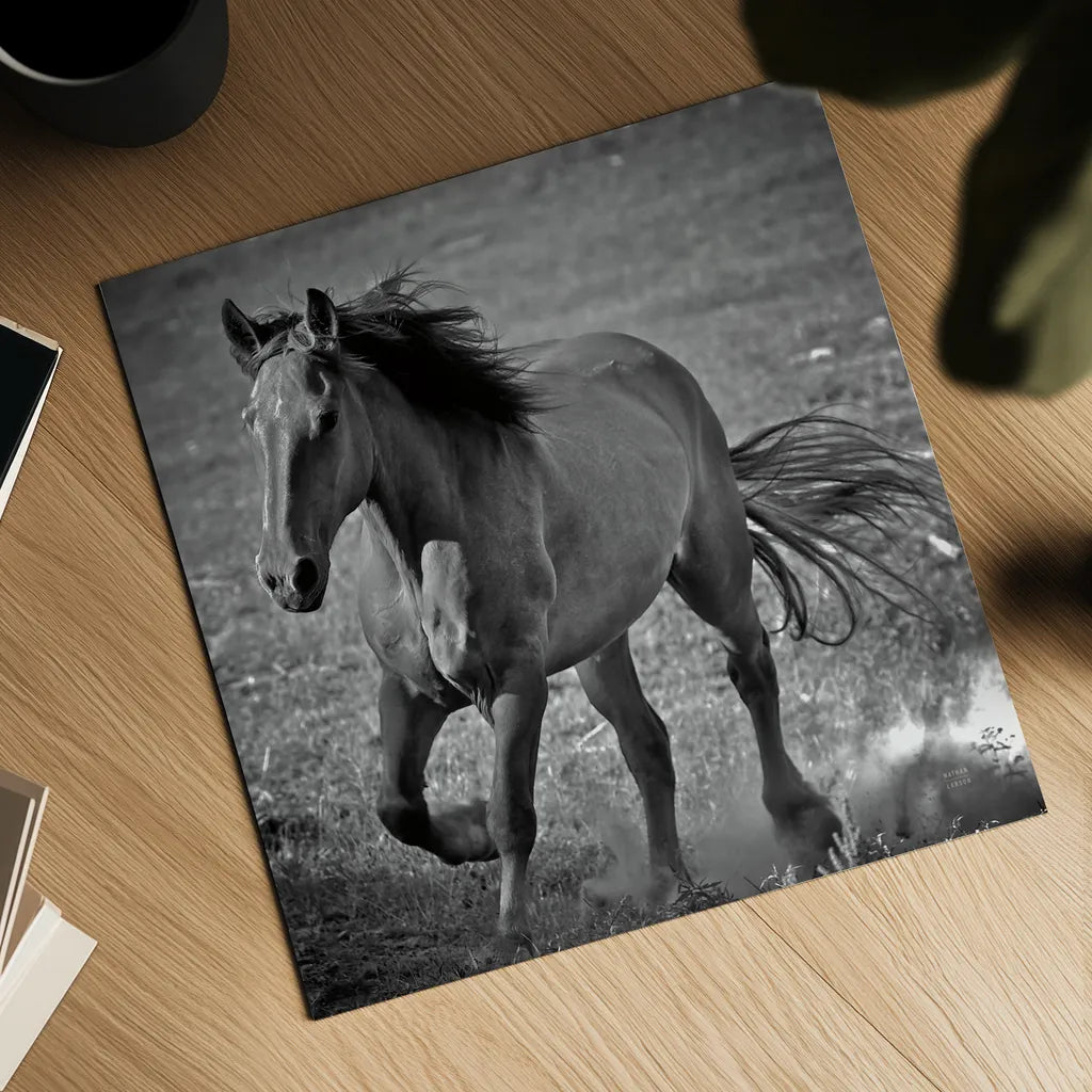Horse Runner by Nathan Larson. Shown as a detailed flat fine art print, highlighting archival giclee quality. Available as an archival giclee rolled canvas, fine art paper, or poster print. SKU 76536a.