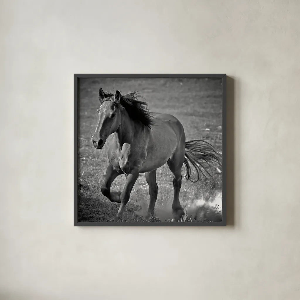 Horse Runner by Nathan Larson. Shown in a sleek black glass frame for a contemporary gallery look. Available as an archival giclee rolled canvas, fine art paper, or poster print. SKU 76536a.