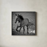 Horse Runner by Nathan Larson. Shown in a sleek black glass frame for a contemporary gallery look. Available as an archival giclee rolled canvas, fine art paper, or poster print. SKU 76536a.