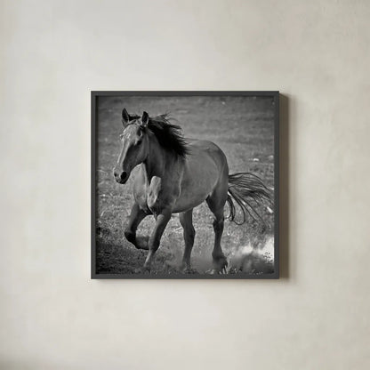 Horse Runner by Nathan Larson. Shown in a sleek black glass frame for a contemporary gallery look. Available as an archival giclee rolled canvas, fine art paper, or poster print. SKU 76536a.