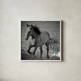 Horse Runner by Nathan Larson. Shown in a crisp white glass frame for a clean and minimalist style. Available as an archival giclee rolled canvas, fine art paper, or poster print. SKU 76536a.