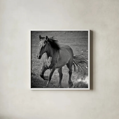 Horse Runner by Nathan Larson. Shown in a crisp white glass frame for a clean and minimalist style. Available as an archival giclee rolled canvas, fine art paper, or poster print. SKU 76536a.