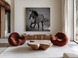 Horse Runner by Nathan Larson. Shown as extra-large giant wall art in a modern living room. Available as an archival giclee rolled canvas, fine art paper, or poster print. SKU 76536a.