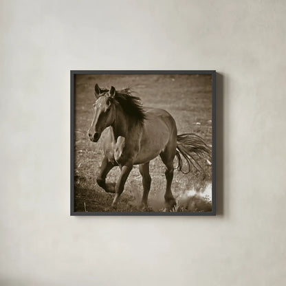 Horse Runner Sepia by Nathan Larson. Shown in a sleek black glass frame for a contemporary gallery look. Available as an archival giclee rolled canvas, fine art paper, or poster print. SKU 79221a.