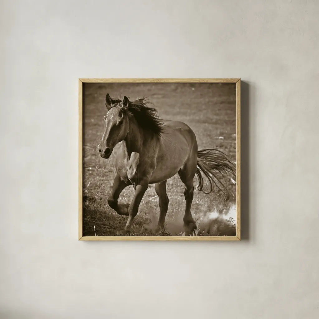 Horse Runner Sepia by Nathan Larson. Shown in a natural wood glass frame for a timeless modern aesthetic. Available as an archival giclee rolled canvas, fine art paper, or poster print. SKU 79221a.