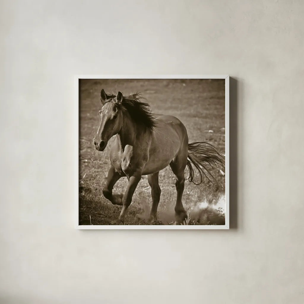 Horse Runner Sepia by Nathan Larson. Shown in a crisp white glass frame for a clean and minimalist style. Available as an archival giclee rolled canvas, fine art paper, or poster print. SKU 79221a.