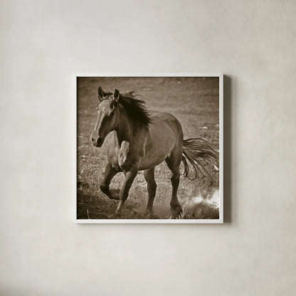 Horse Runner Sepia by Nathan Larson. Shown in a crisp white glass frame for a clean and minimalist style. Available as an archival giclee rolled canvas, fine art paper, or poster print. SKU 79221a.