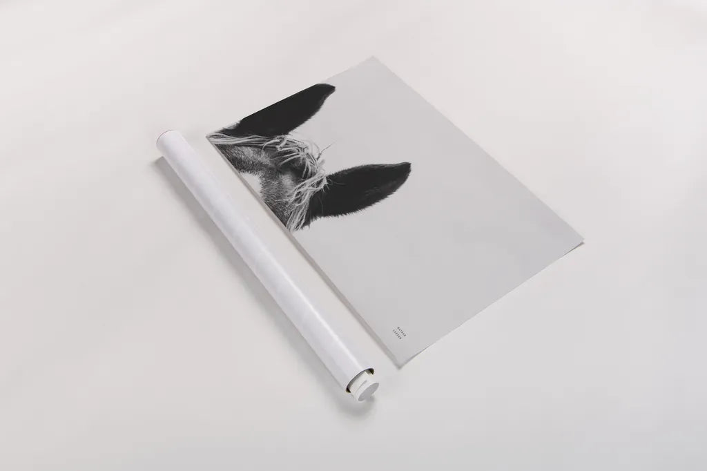 Horse Study I by Nathan Larson. shown as a rolled paper print. Available as archival giclee rolled canvas, fine art paper, or poster print. SKU 86413i.