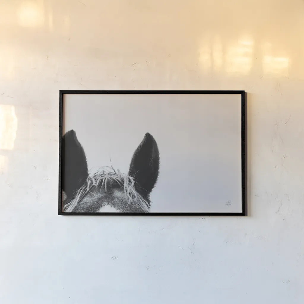 Horse Study I by Nathan Larson. shown as a paper print in a black flame. Available as a archival giclee rolled canvas, fine art paper, or poster print. SKU 86413i.