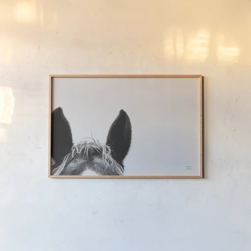 Horse Study I by Nathan Larson. shown as a paper print in a natural frame. Available as a archival giclee rolled canvas, fine art paper, or poster print. SKU 86413i.