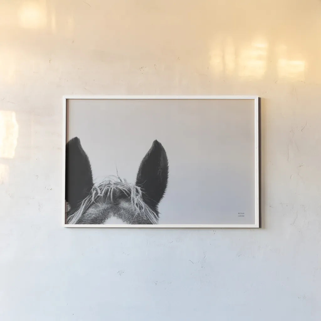 Horse Study I by Nathan Larson. shown as a paper print in a white frame. Available as a archival giclee rolled canvas, fine art paper, or poster print. SKU 86413i.