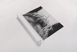 Horse Study II by Nathan Larson. shown as a rolled paper print. Available as archival giclee rolled canvas, fine art paper, or poster print. SKU 86414i.