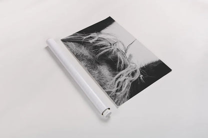 Horse Study II by Nathan Larson. shown as a rolled paper print. Available as archival giclee rolled canvas, fine art paper, or poster print. SKU 86414i.